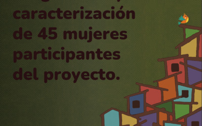 Diagnóstico y caracterización de 45 mujeres participantes del proyecto
